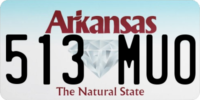 AR license plate 513MUO