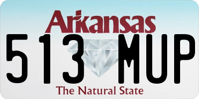 AR license plate 513MUP