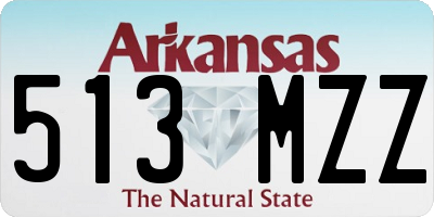 AR license plate 513MZZ