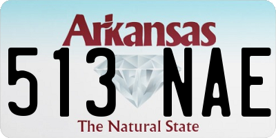 AR license plate 513NAE