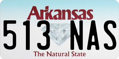 AR license plate 513NAS