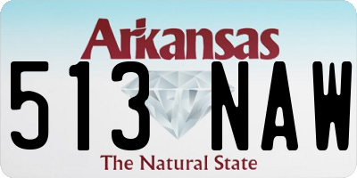AR license plate 513NAW