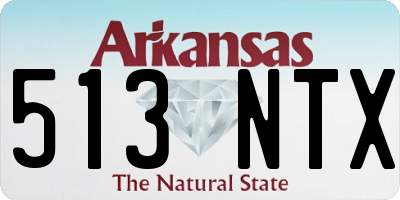 AR license plate 513NTX