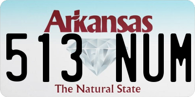 AR license plate 513NUM