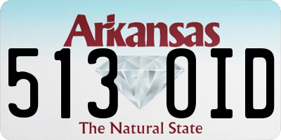 AR license plate 513OID