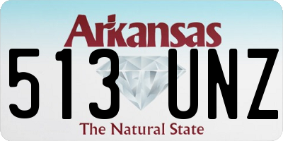 AR license plate 513UNZ