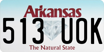 AR license plate 513UOK