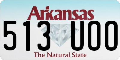 AR license plate 513UOO