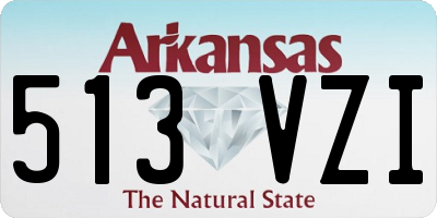 AR license plate 513VZI