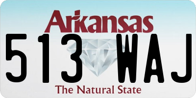 AR license plate 513WAJ