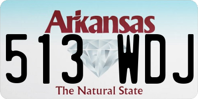 AR license plate 513WDJ