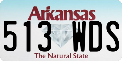 AR license plate 513WDS