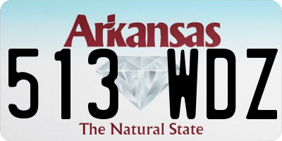 AR license plate 513WDZ