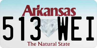AR license plate 513WEI