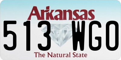 AR license plate 513WGO