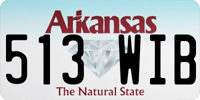 AR license plate 513WIB