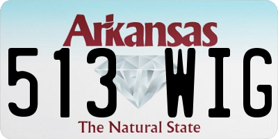 AR license plate 513WIG