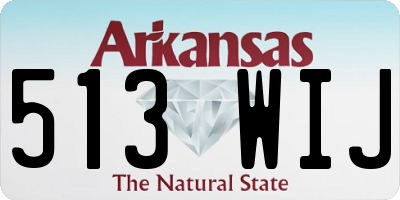AR license plate 513WIJ