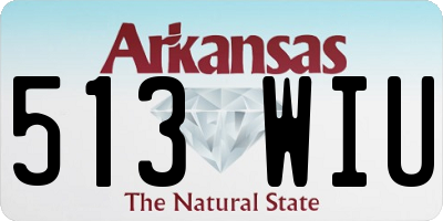 AR license plate 513WIU