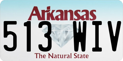 AR license plate 513WIV