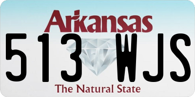 AR license plate 513WJS