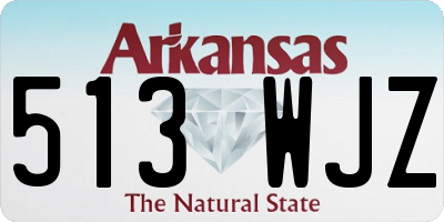 AR license plate 513WJZ