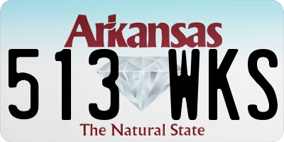 AR license plate 513WKS
