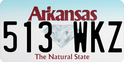 AR license plate 513WKZ