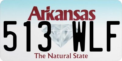 AR license plate 513WLF