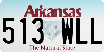 AR license plate 513WLL