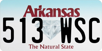 AR license plate 513WSC