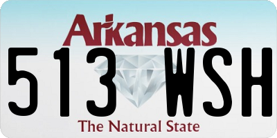 AR license plate 513WSH