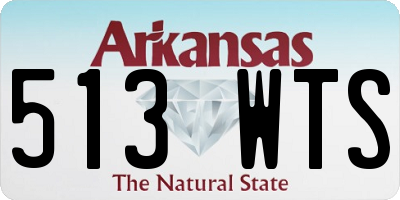 AR license plate 513WTS