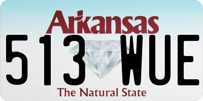 AR license plate 513WUE