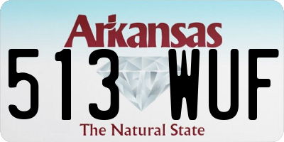 AR license plate 513WUF