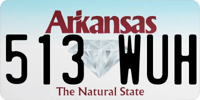AR license plate 513WUH