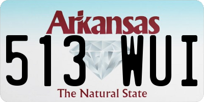 AR license plate 513WUI