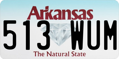AR license plate 513WUM