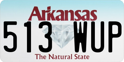 AR license plate 513WUP