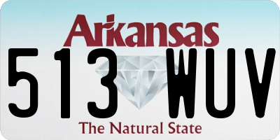 AR license plate 513WUV