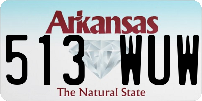 AR license plate 513WUW