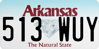 AR license plate 513WUY
