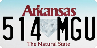 AR license plate 514MGU