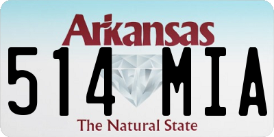 AR license plate 514MIA