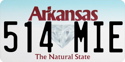 AR license plate 514MIE