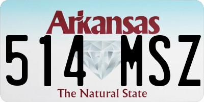 AR license plate 514MSZ