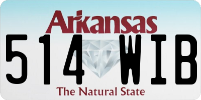 AR license plate 514WIB