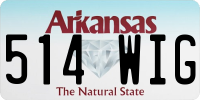 AR license plate 514WIG