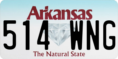 AR license plate 514WNG