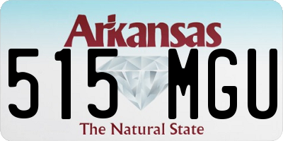 AR license plate 515MGU